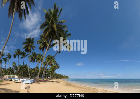 Las Terrenas, Dominikanische Republik, Angelboote/Fischerboote und Palmen am Strand Stockfoto