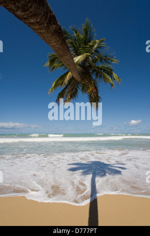 Las Terrenas, Dominikanische Republik, die einsamen Strand Playa Coson Stockfoto