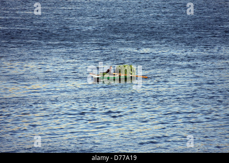 ÄGYPTISCHEN Mann IN grün Ruderboot & GRASS Fluss Nil Ägypten 9. Januar 2013 Stockfoto