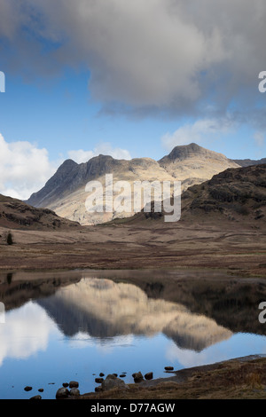 Langdale Pikes spiegelt sich in Blea Tarn, in der Nähe von Langdale, Lake District, Cumbria Stockfoto