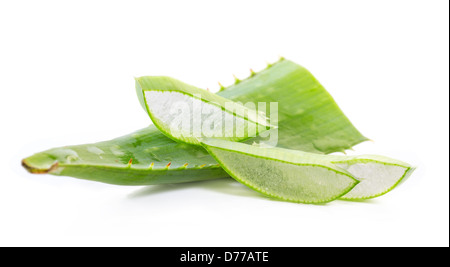 Schneiden Sie Aloe Blätter auf weißem Hintergrund Stockfoto