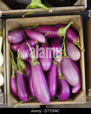 Eine hölzerne Kiste voll von schönen lila Auberginen zum Verkauf an einen örtlichen Bauernmarkt. Stockfoto