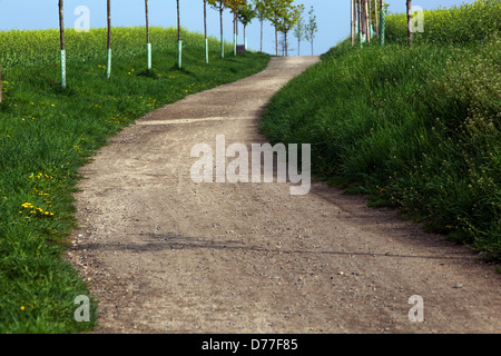 Die ländliche Straße, die zwischen Grasfeldern führt Tschechische Republik Europa Stockfoto