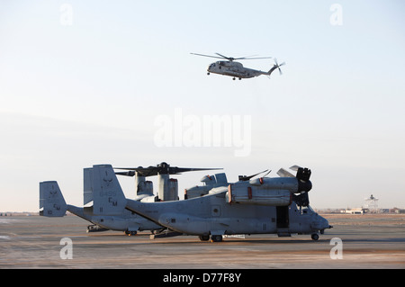 Vereinigte Staaten Marinekorps CH-53D Sea Stallion bereitet, United States Marine Corps MV-22 Osprey im Vordergrund Camp zu landen Stockfoto