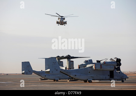 Vereinigte Staaten Marinekorps CH-53D Sea Stallion bereitet, United States Marine Corps MV-22 Osprey im Vordergrund Camp zu landen Stockfoto