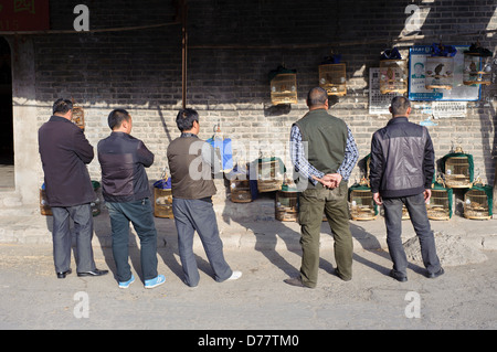 Eine Gruppe von Männern stehen, um ihre Vogelkäfige im zentralen chinesischen Stadt Kaifeng, Henan Provinz Stockfoto