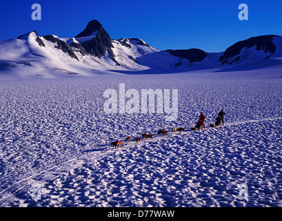 Luftbild Musher Lothringen Tempel geben Hundeschlitten Tour Mitte Filiale Norris Gletscher Juneau Icefield Tongass National Forest Stockfoto