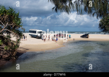 Eli Creek siebzig fünf Meile Strand Fraser Island-Queensland-Australien Stockfoto