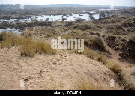 Die Sefton Küste Special Area of Conservation umfasst 4.500 Hektar Strand und Dünen Lebensräume, wo saisonale Teiche Form Stockfoto