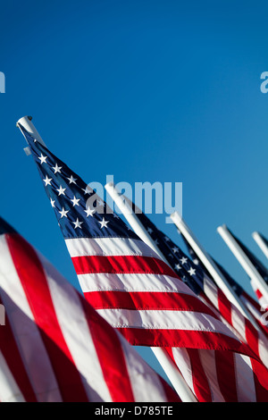 USA-Flaggen in einer Reihe - amerikanische Flaggen aufgereiht, erschossen abgewinkelten unter blauem Himmel Stockfoto