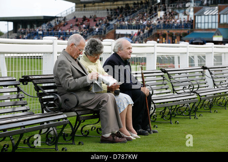 Beverley Racecourse - Pferd Rennen treffen, East Yorkshire, UK Stockfoto