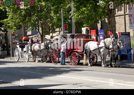 Pferdekutschen in den Straßen von Melbourne, Victoria, Australia Stockfoto