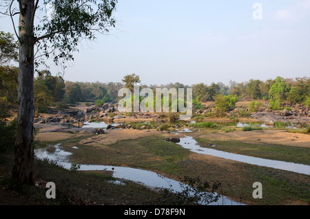 Banjar Fluss, Mokka, Kanha, Mokka, Madhya Pradesh, Indien Stockfoto