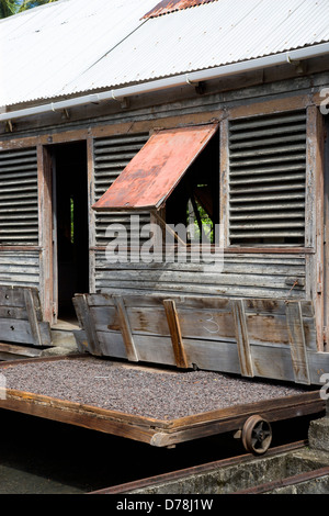 Karibik, West Indies, Dougaldston Estate Plantage, Grenada Kakaobohnen trocknen in der Sonne auf einziehbaren Racks unter trocknen Schuppen Stockfoto