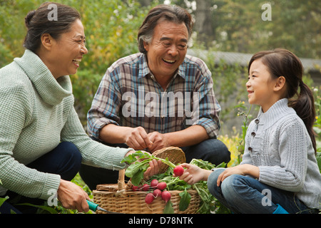 Großeltern und Enkeltochter im Garten Stockfoto
