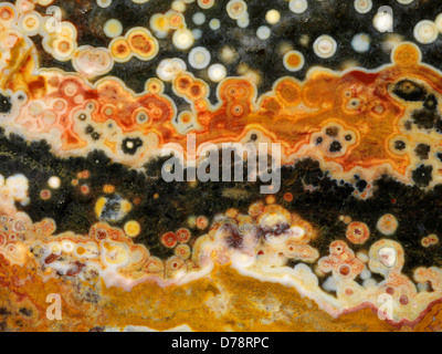 Slab Ocean Jaspis auf in der Nähe von Dorf Marovato an der Nordwestküste Madagaskars gefunden. Stockfoto