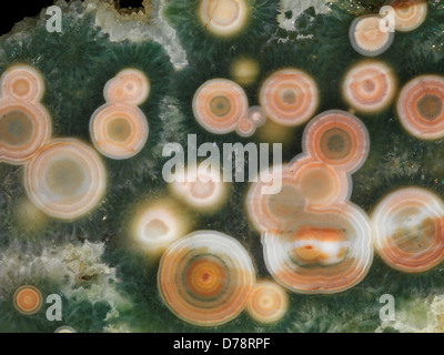 Slab Ocean Jaspis auf in der Nähe von Dorf Marovato an der Nordwestküste Madagaskars gefunden. Stockfoto