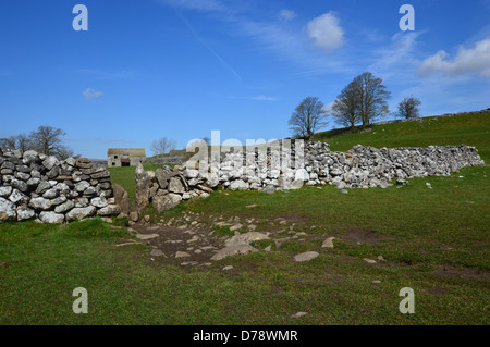 Stil in trockenen Steinwand nahe Grassington auf Dales so Long Distance Fußweg Wharfedale Yorkshire Stockfoto