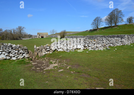 Stil in trockenen Steinwand nahe Grassington auf Dales so Long Distance Fußweg Wharfedale Yorkshire Stockfoto