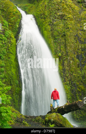 Mann unter Wahkeena Falls, Columbia River Gorge, Oregon, APRIL Stockfoto