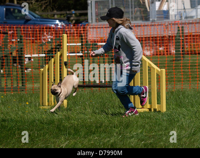 Junges Mädchen mit einem Mops Hund Agility-Wettbewerb an der Royal Cornwall Showground, The Cornwall Agility Club Show, UK 2013 Stockfoto