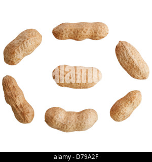 Monkey Nuts auf weißem Hintergrund Stockfoto