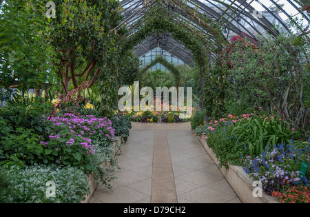 Longwood Gärten Blumen Gewächshaus Interieur Stockfoto