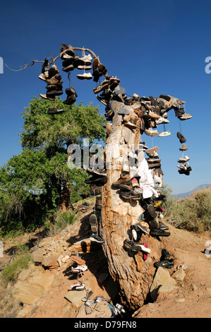 Hunderte von Schuhen Läufer Stiefel hängen hängen vom Baum tot Schuh Friedhof Marker Gedenken Mark Website Jungfrau Utah Schuhspanner Stockfoto