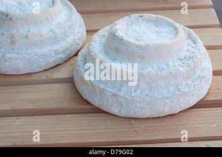 Italien, Piemont, Montebore Käse Stockfoto