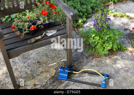 Wohnung von einjährigen Pflanzen gepflanzt werden Stockfoto