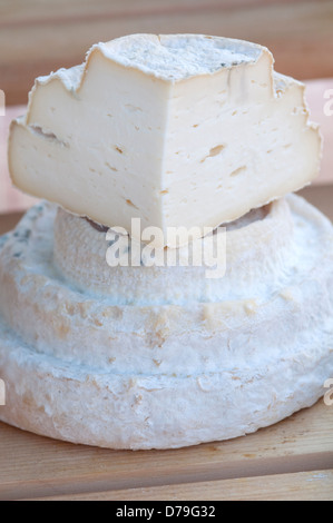 Italien, Piemont, Montebore Käse Stockfoto