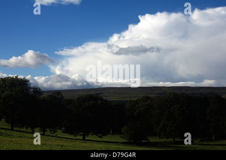 Gewitterwolken übergehen Wensleydale an einem Herbstabend aus in der Nähe von Bolton Castle Yorkshire Dales England Stockfoto