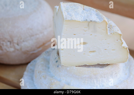 Italien, Piemont, Montebore Käse Stockfoto