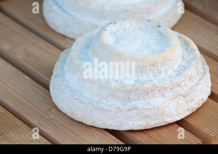 Italien, Piemont, Montebore Käse Stockfoto