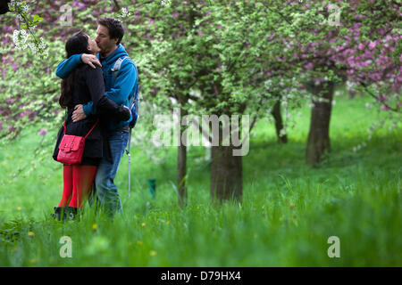 Ein romantischer Spaziergang auf dem Prager Petrin Hügel im Frühling, Liebespaar küssen unter Kirschbaum blühende Meadow Lovers Orchard May Garden man küsst Frau in der Natur Grüne Szene Graswiese Frühlingszeit draußen Rote Handtasche liebendes Paar küsst beim Umarmen Stockfoto