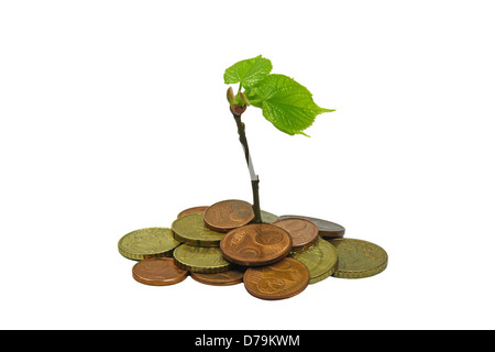 grüne Pflanze wächst aus Haufen von Münzen Stockfoto