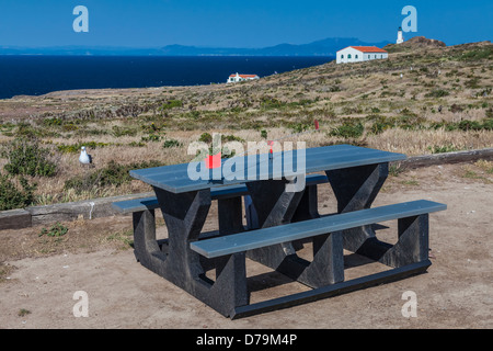 Picknick-Tisch ausgestattet mit einem Whirlygig East Anacapa Island, Channel Islands Nationalpark, Callifornia die Vögel ab, behalten Stockfoto