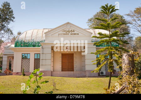 Schmetterling Museum, Kandawgyi Nationalgarten, Pyin Oo Lwin, (Pyin U Lwin und Maymyo), in der Nähe von Mandalay, Myanmar (Burma) Stockfoto