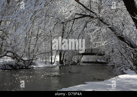 Eine Fußgängerbrücke in einem Park in Minneapolis im Winter. Stockfoto