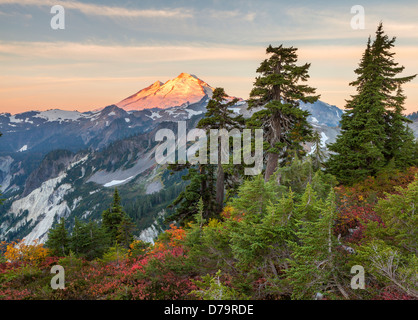 Mount Baker-Snoqualmie National Forest, WA: Mount Baker von Künstlern Ridge Trail, bei Sonnenaufgang Stockfoto