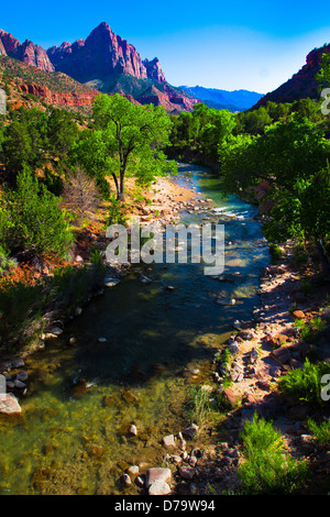 Jungfrau-Fluß durch Zion Nationalpark, Utah, Vereinigte Staaten Stockfoto
