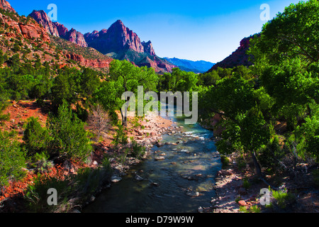 Jungfrau-Fluß durch Zion Nationalpark, Utah, Vereinigte Staaten Stockfoto