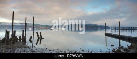 Vashon Island, Washington: Clearing Nebel auf Quartiermeister Harbor, Dockton. Maury Insel Stockfoto