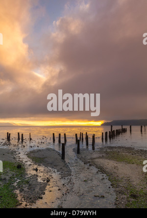 Vashon Island, Washington: Clearing Nebel auf Tramp Harbor Stockfoto