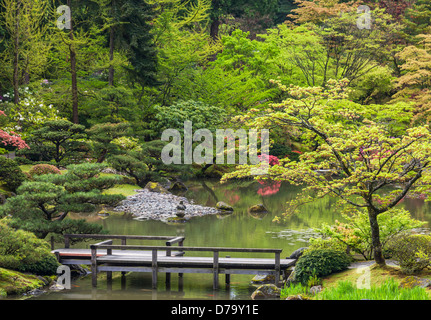 Seattle, WA: Frühling-Blick auf den See des japanischen Gartens im Washington Park Arboretum Stockfoto