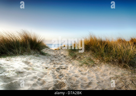 Pfad führt durch die Sanddünen zum Strand von Sandbänken in Poole, Dorset Stockfoto