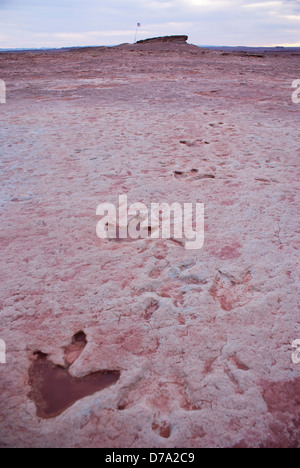 USA-Arizona-Dinosaurier-Fußspuren im ehemaligen Flussbett im nördlichen Arizona erhalten Stockfoto