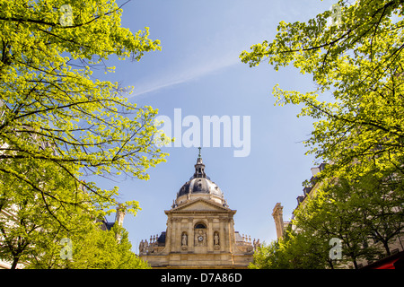 Sorbonne - ist eines der berühmtesten europäischen Universitäten mit ihm umgeben von Gebäuden und Frühjahr Bäume Stockfoto