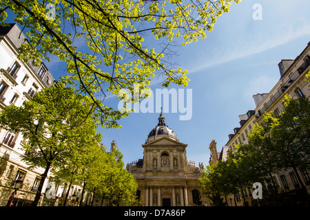 Sorbonne - ist eines der berühmtesten europäischen Universitäten mit ihm umgeben von Gebäuden und Frühjahr Bäume Stockfoto