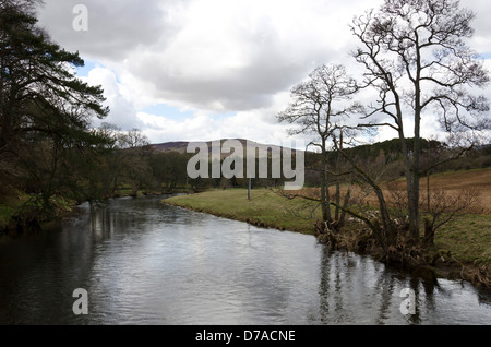 Der Fluss Tweed in der Nähe von Peebles in den Scottish Borders. Stockfoto